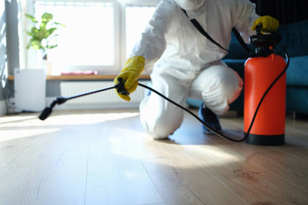 Affordable Biohazard Cleanup solutions in Mcbrides, MI